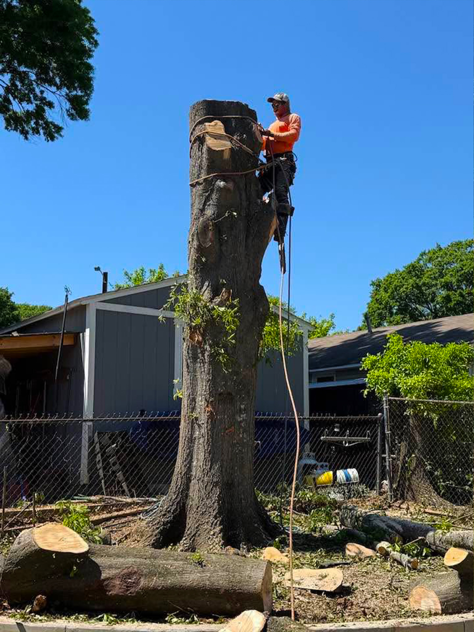 Alex Mayo's Landscaping & Tree Services LLC Services